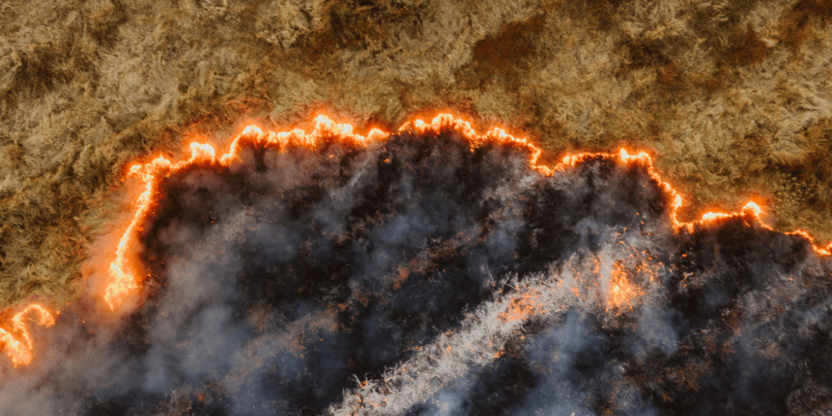 Aerial view of a wildfire with flames and smoke on a dry landscape.